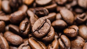 Brazil Santos ültetvényi kávé speciality, francia pörköléssel